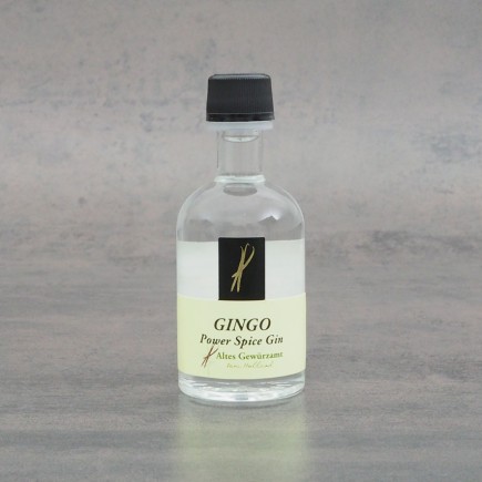 GINGO Power Spyce Gin 