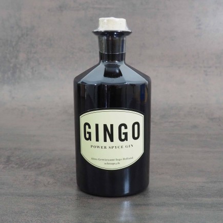 GINGO Power Spyce Gin 